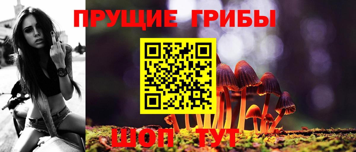 Псилоцибиновые грибы ЛСД  Галлюциногенные грибы ЛСД  Красногорск  Вход с VPN 