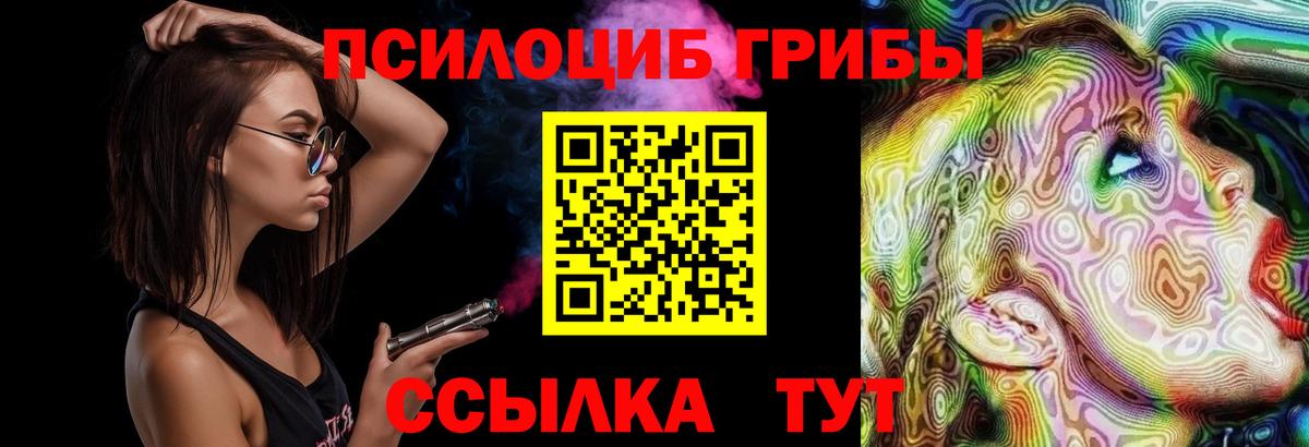 Псилоцибиновые грибы Cubensis Красногорск